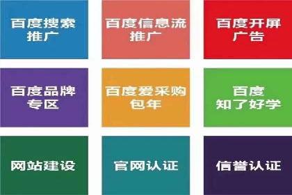 百度广告投放技巧：案例解析助力品牌增长